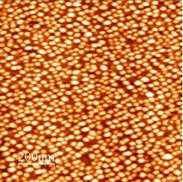 Haute densité de InAs QDs sur InP(113)B 2*2 µm² image AFM vue à l'échelle nanoscopique