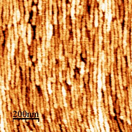 Haute densité de traits quantiques sur InP(001) 2*2 µm² image AFM vue à l'échelle nanoscopique