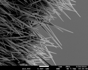 Nano fils de Ge par croissance VLS vus à l'échelle microscopique