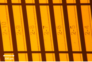 Optical amplifier seen at a microscopic scale
