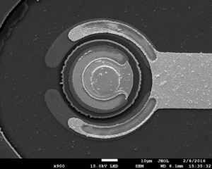 VCSEL InP (Diode laser à cavité verticale émettant par la surface à phopshure d'indium) vue à l'échelle microscopique