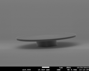 Micro-disque GaP vu à l'échelle microscopique