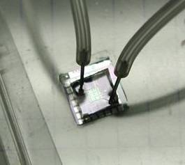 Sensor coupled with micro-fluidic circuit